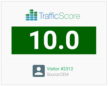 TrafficScore Visitor Number